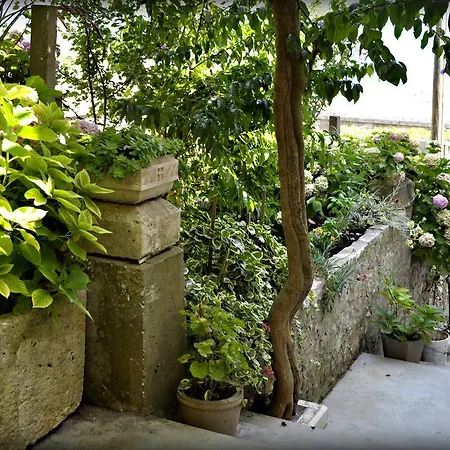 Apartments Lumbarda Lumbarda